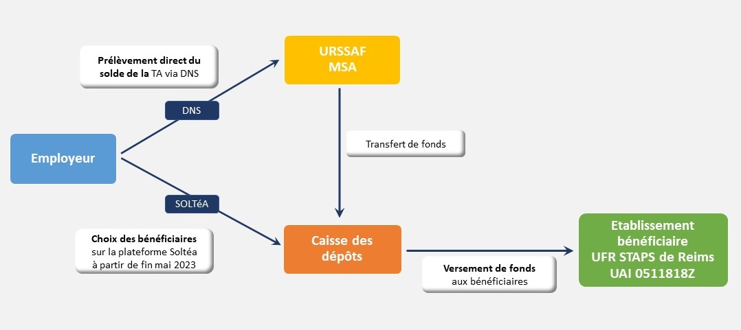 Schéma explicatif du versement de la Taxe d'apprentissage 2023