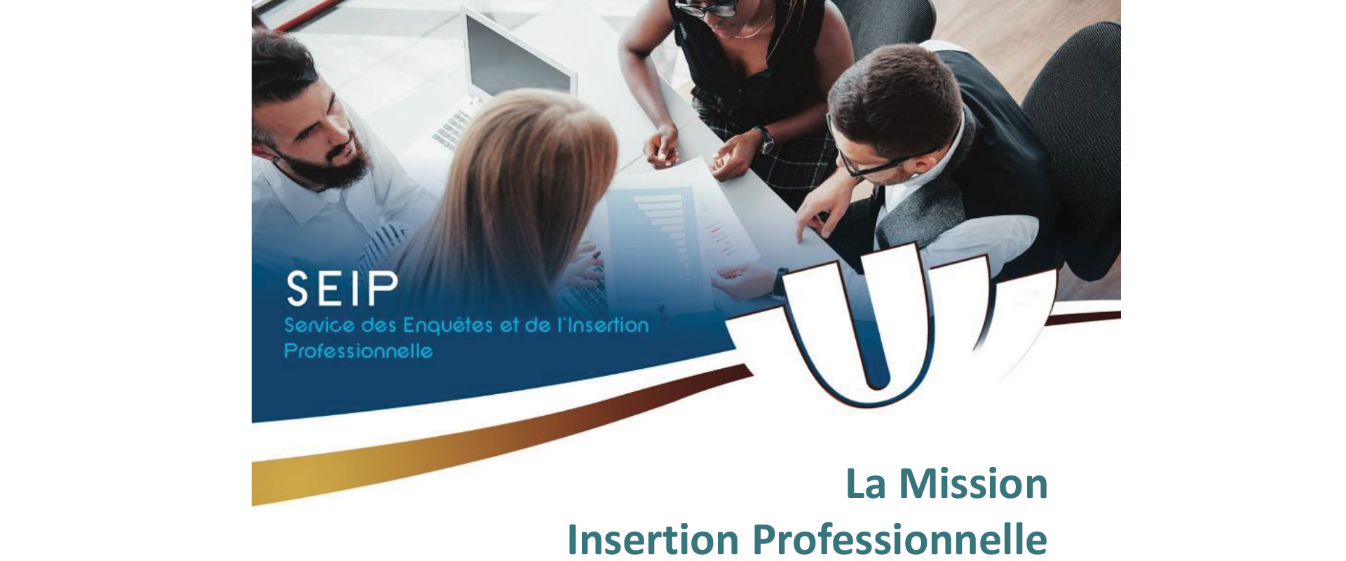 Tout savoir sur l'insertion professionnelle