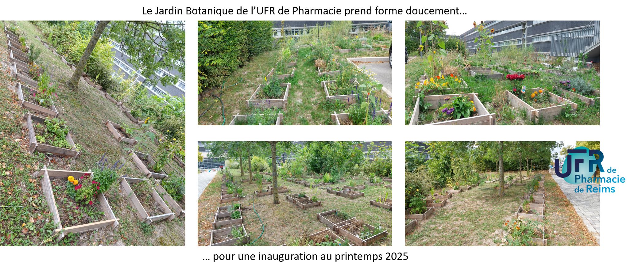 Jardin botanique