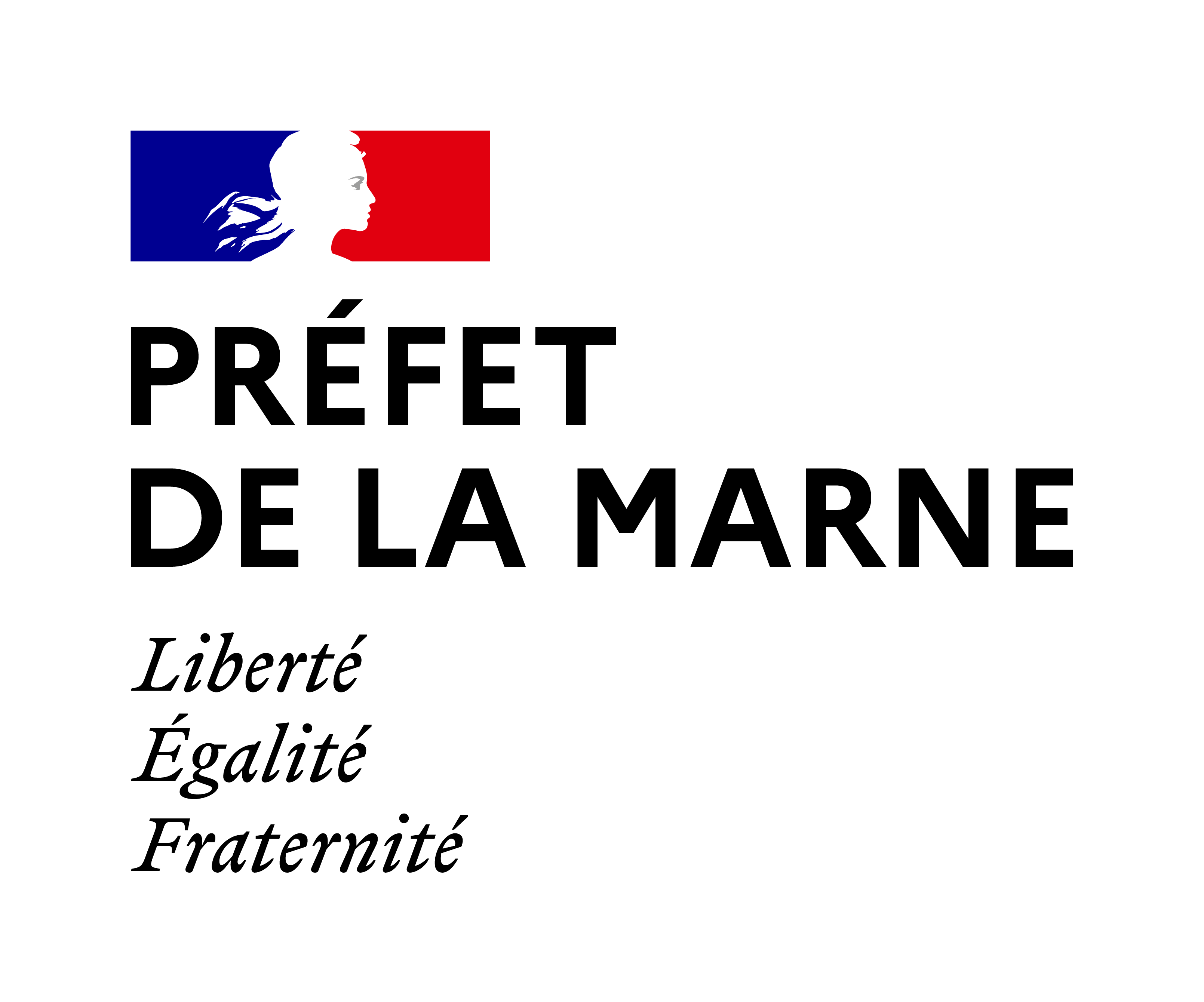Préfet Marne