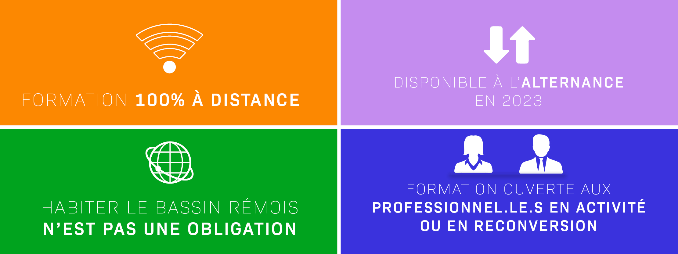 Master IDT - Organisation