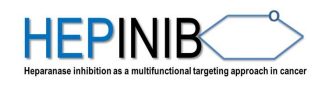 Logo Hepinib