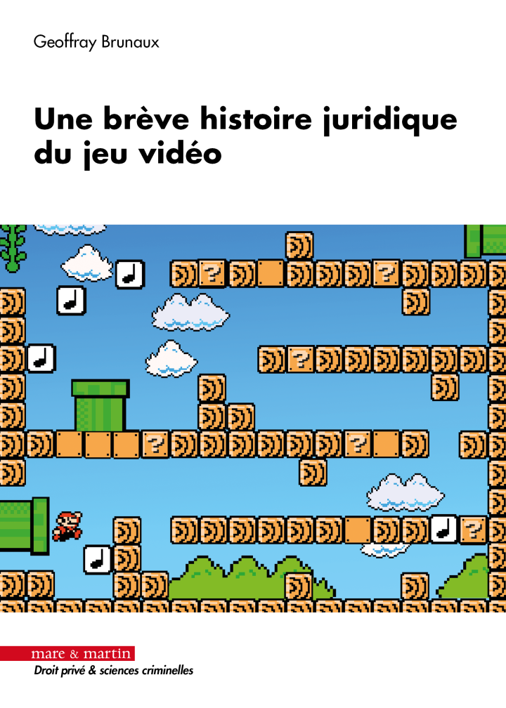 Publication de l'ouvrage « Une brève histoire juridique du jeu vidéo » par Geoffray BRUNAUX
