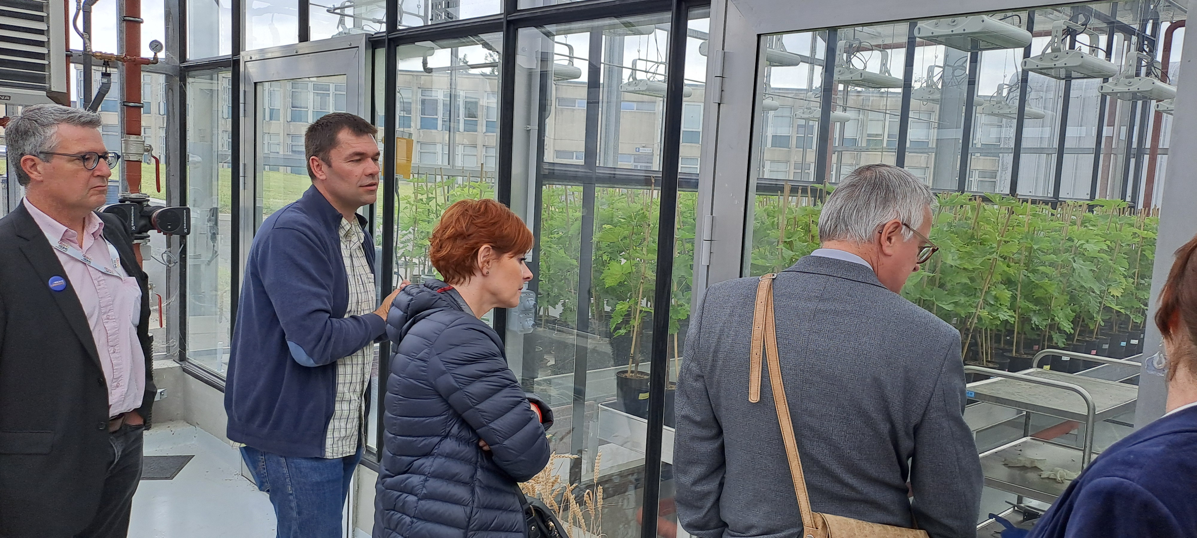 Visite