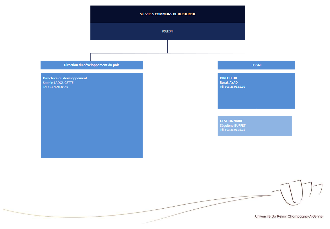 Organigramme du pôle SNI (PNG, 21Ko)
