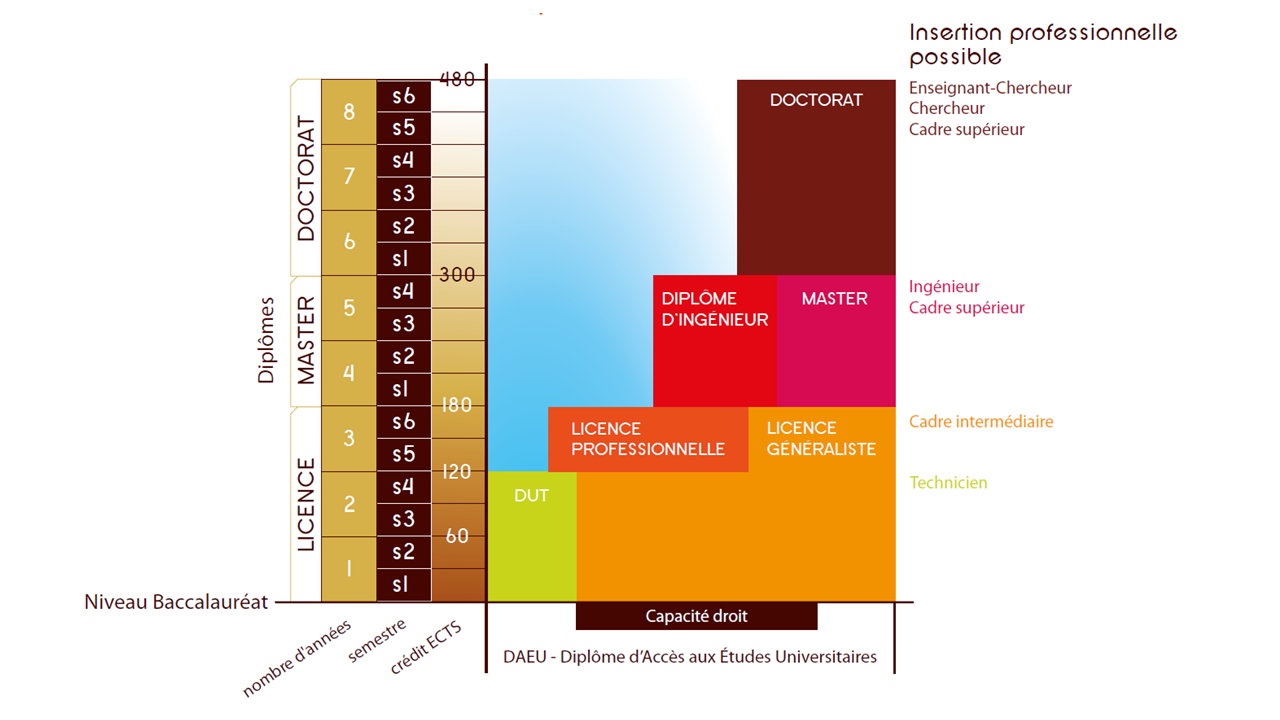 Schéma des études à l'URCA (PNG 201 Ko)