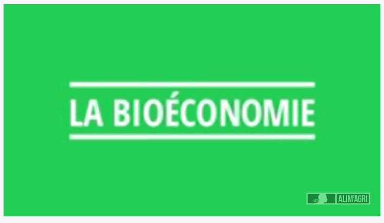 Capture ecran  La bioéconomie, une approche nouvelle pour des solutions durables
