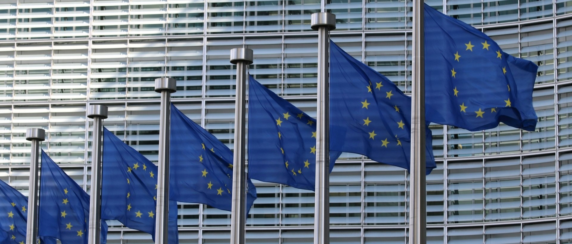 Le développement international du CMQ
