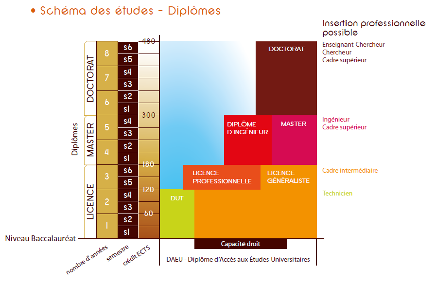 Schéma des formations