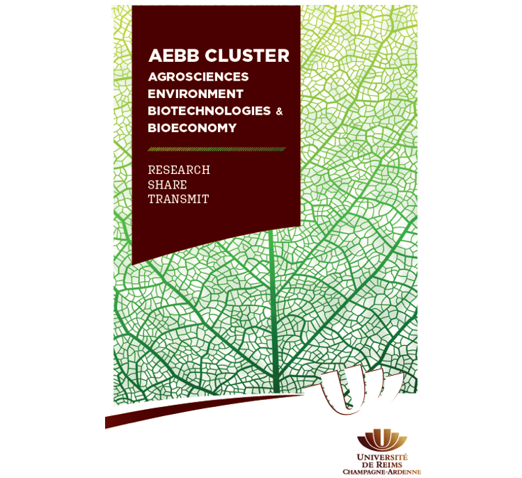 Presentation AEBB CLUSTER