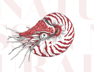 Atelier de dessin naturaliste avec Séverine Paris le samedi 10 mai à 10h à la bibliothèque Moulin de la Housse