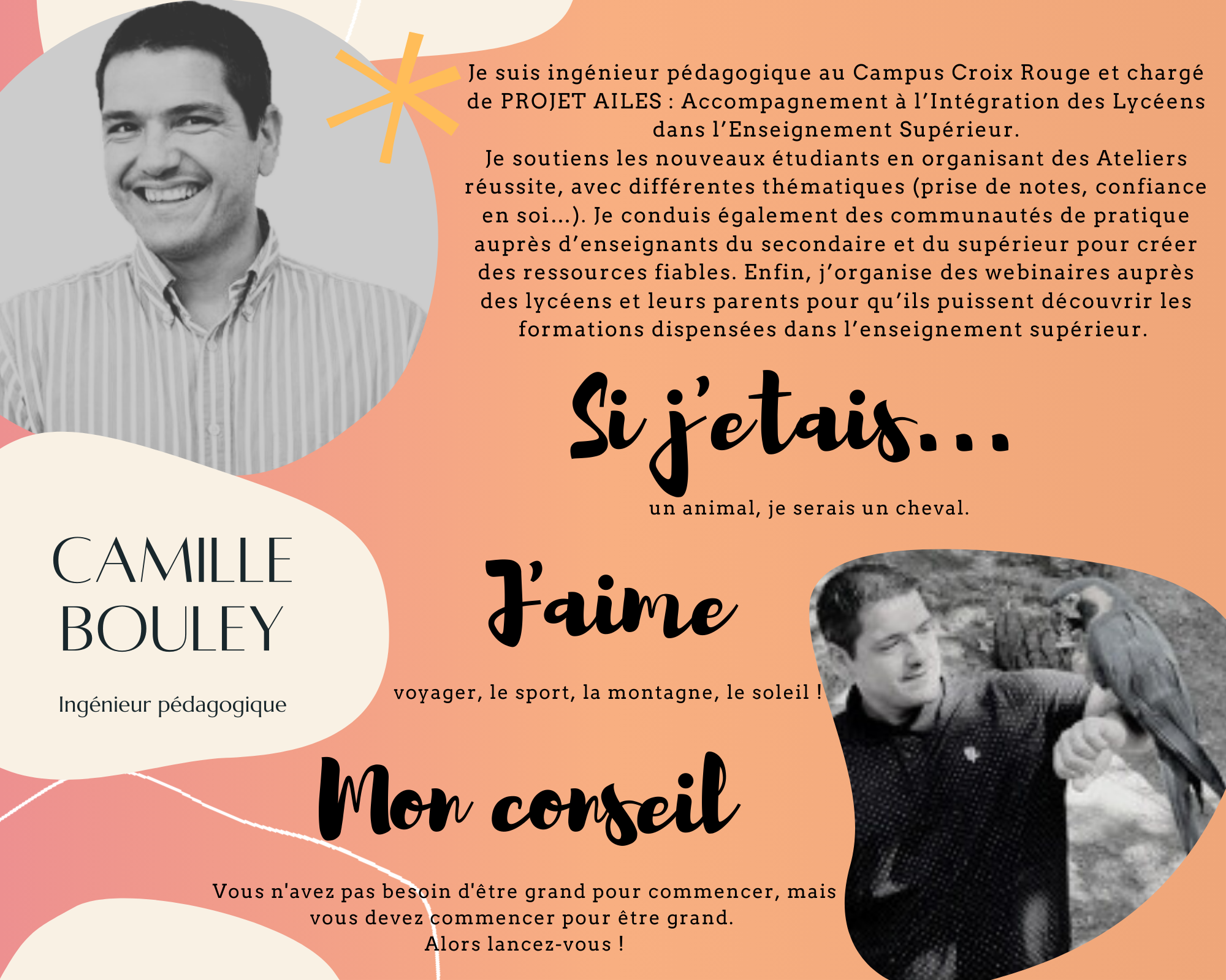 Ingénieur pédagogique