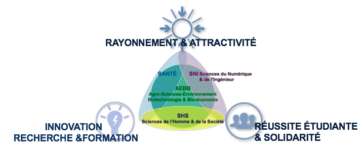 Axes et thématiques de la Fondation URCA