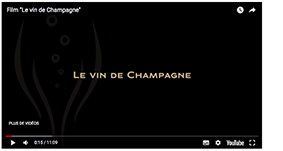 film vin de champagne film vin de champagne