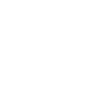 Logo C2S