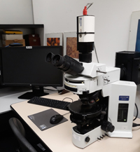 Microscope à épifluorescence