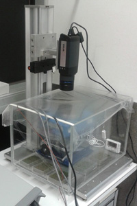 Thermographie infrarouge