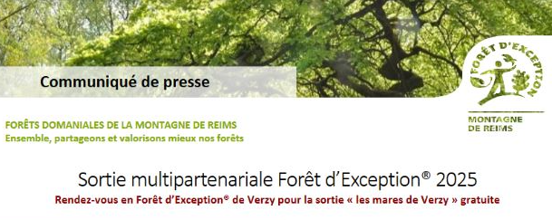 Sortie Verzy