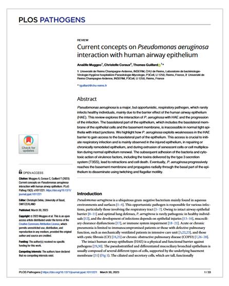 Article Muggeo et al., 2023