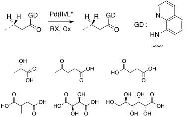 schéma réactionnel palladocatalyse oxydante