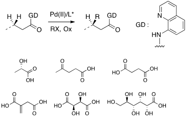schéma réactionnel palladocatalyse oxydante schéma réactionnel palladocatalyse oxydante