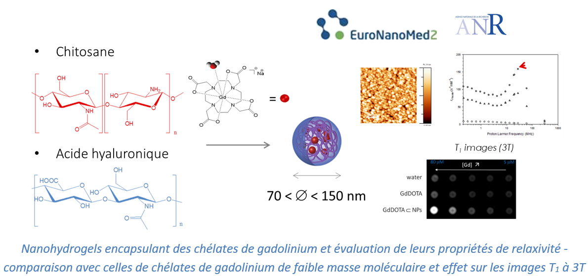 Nanohydrogels encapsulant des chélates de gadolinium 