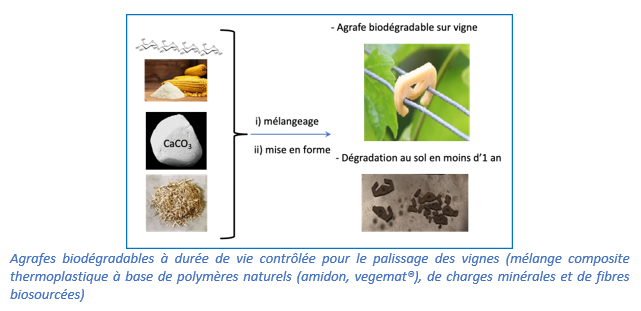 Agrafes biodégradables