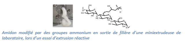 Amidon modifié par des groupes ammonium 