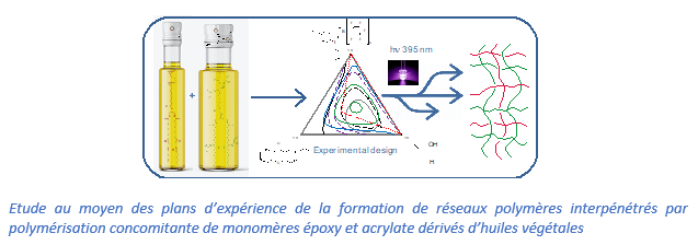 Etude de la formation de réseaux polymères 