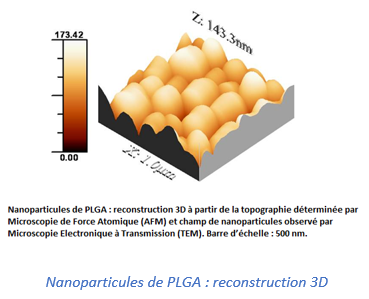  Nanoparticules de PLGA : reconstruction 3D 