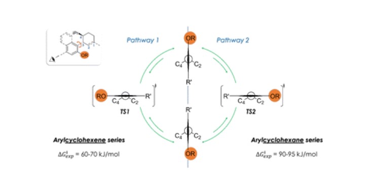 Graphical Abstract