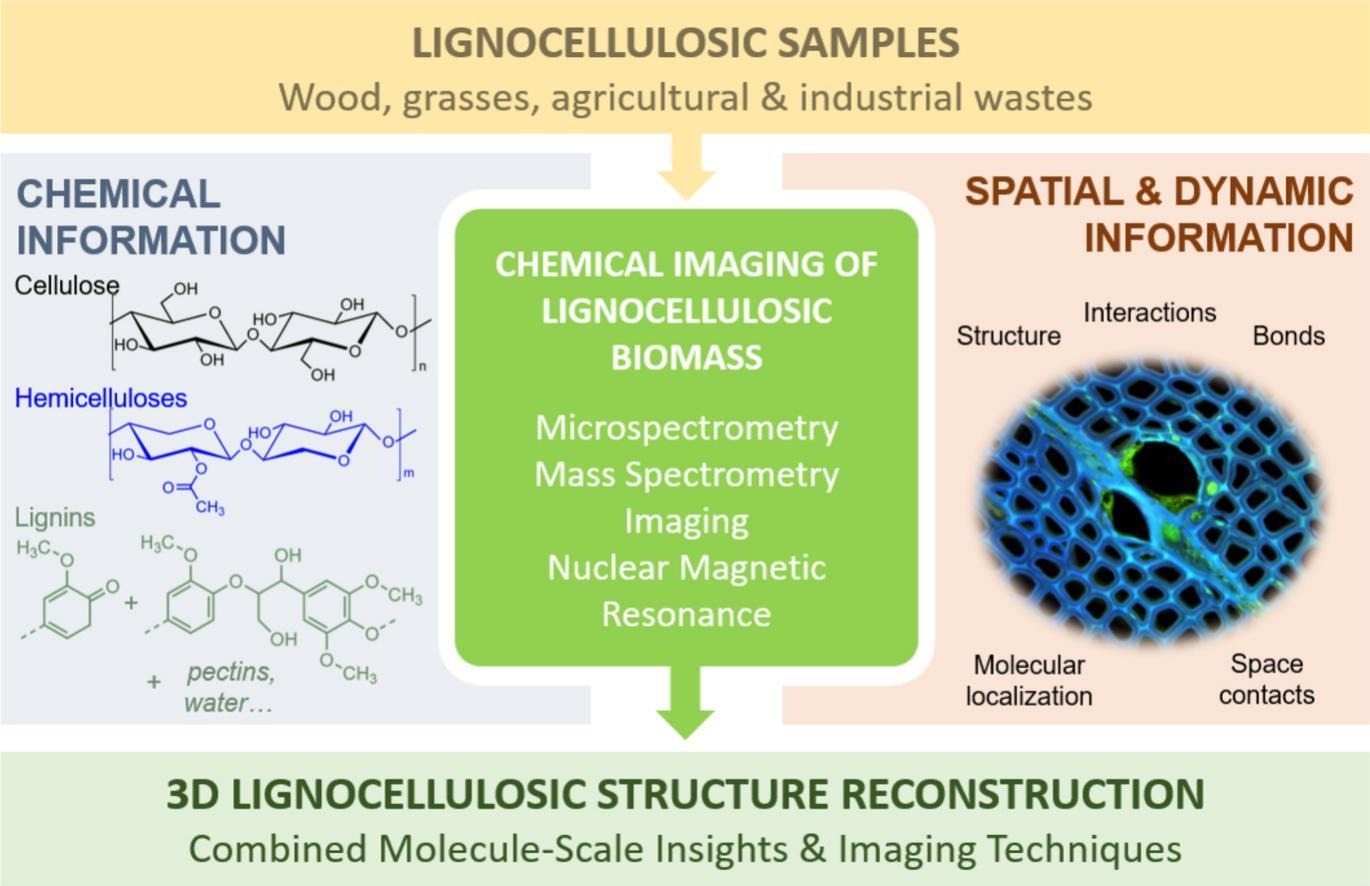 Graphical Abstract