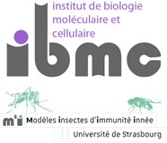 IBMC