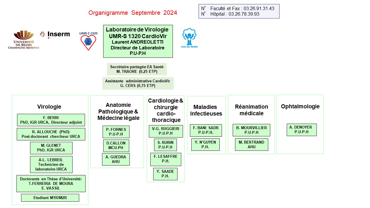 organigramme CardioVir 2024