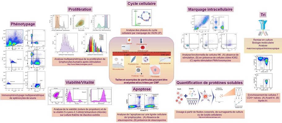 Quelques applications