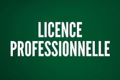 Licences pro UFR SESG
