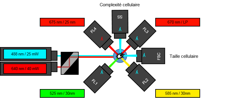 BD Accuri C6, configuration standard