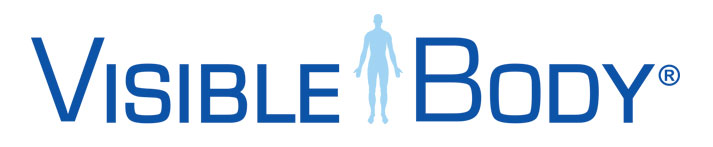 Logo Visible body