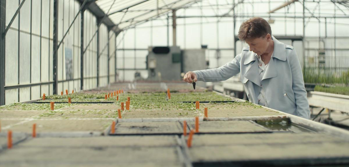 La science au chevet de l'environnement