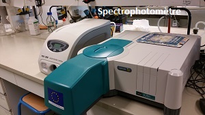 Spectrophotomètre