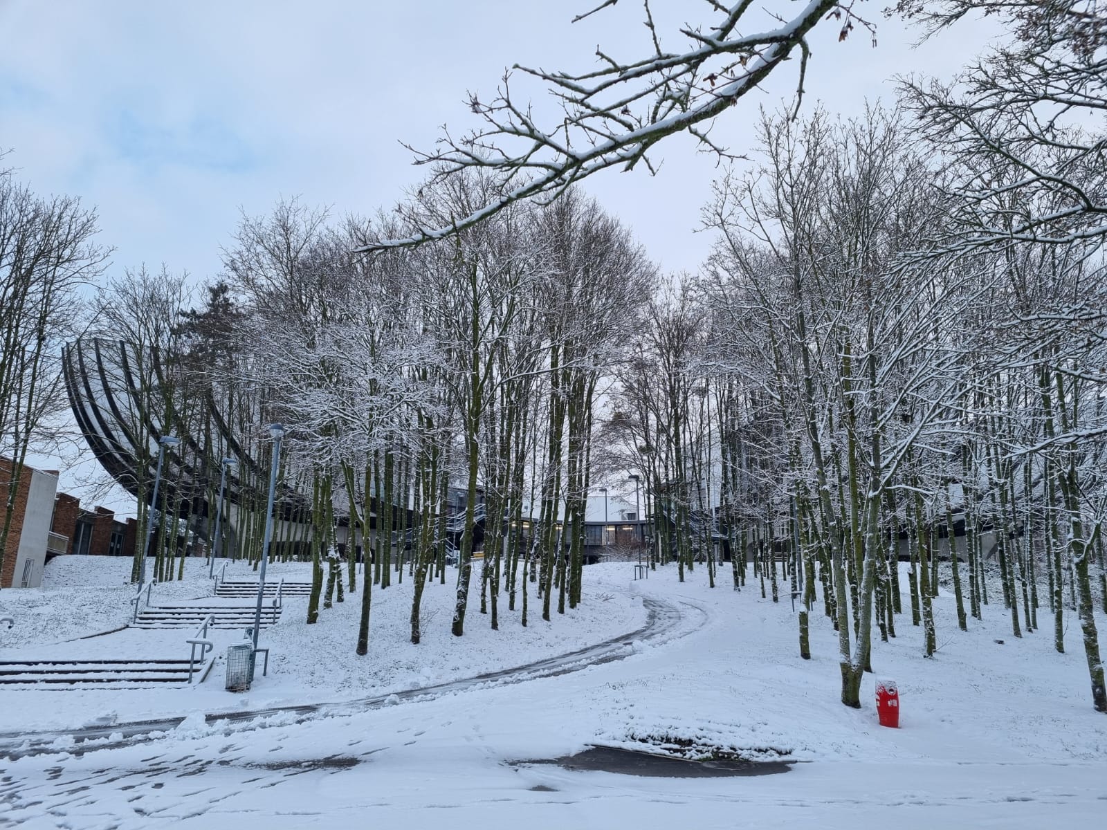 Photo campus Croix-Rouge enneigé