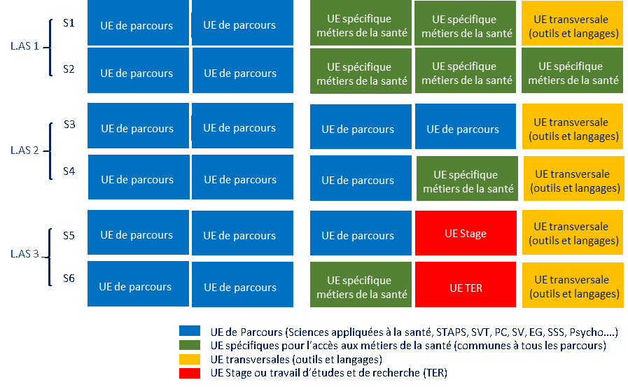 Licence mention  "Sciences pour la Santé "  (SpS) - Accès Santé (L.As) 