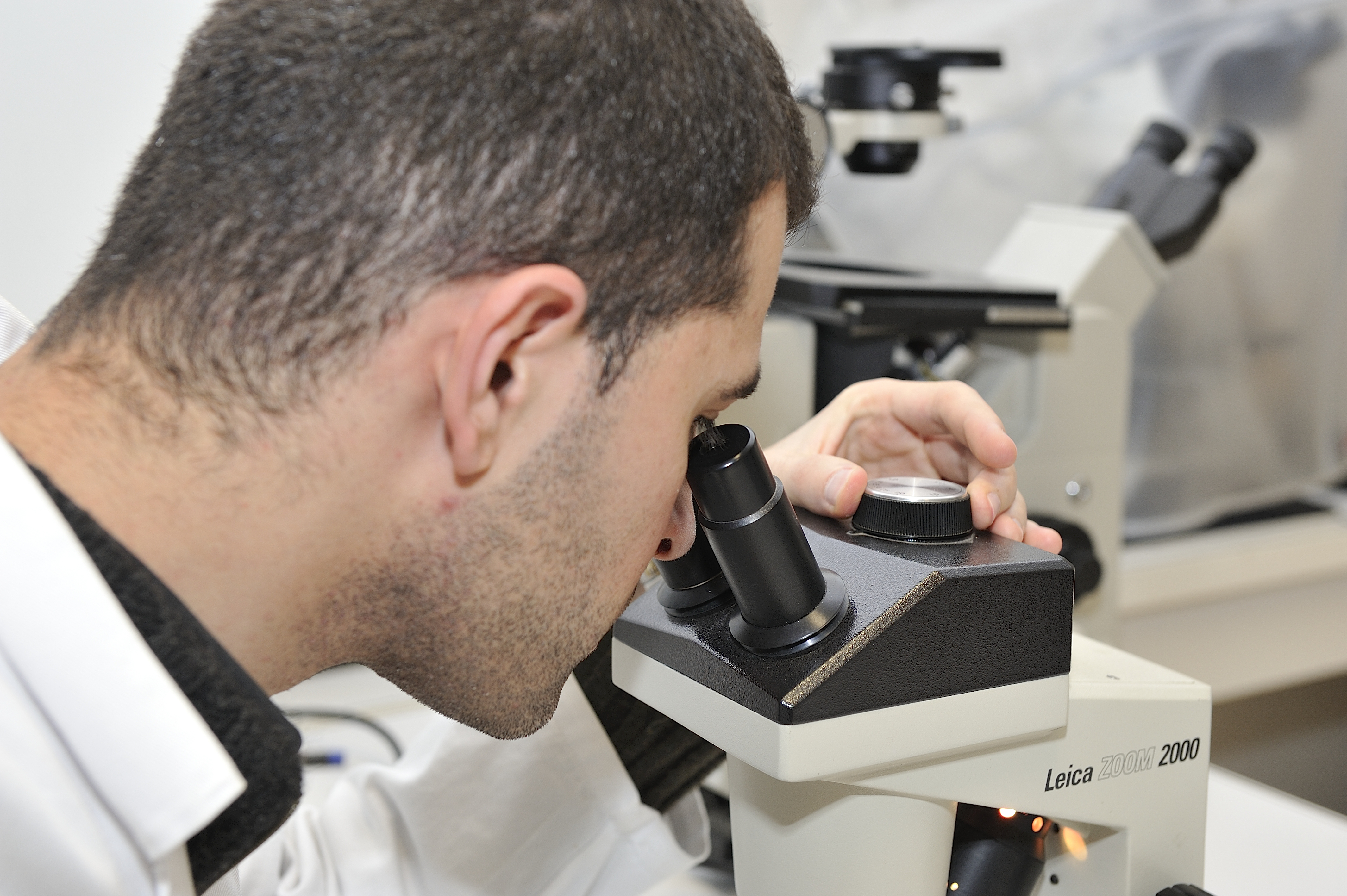Image d'un chercheur regardant dans un microscope
