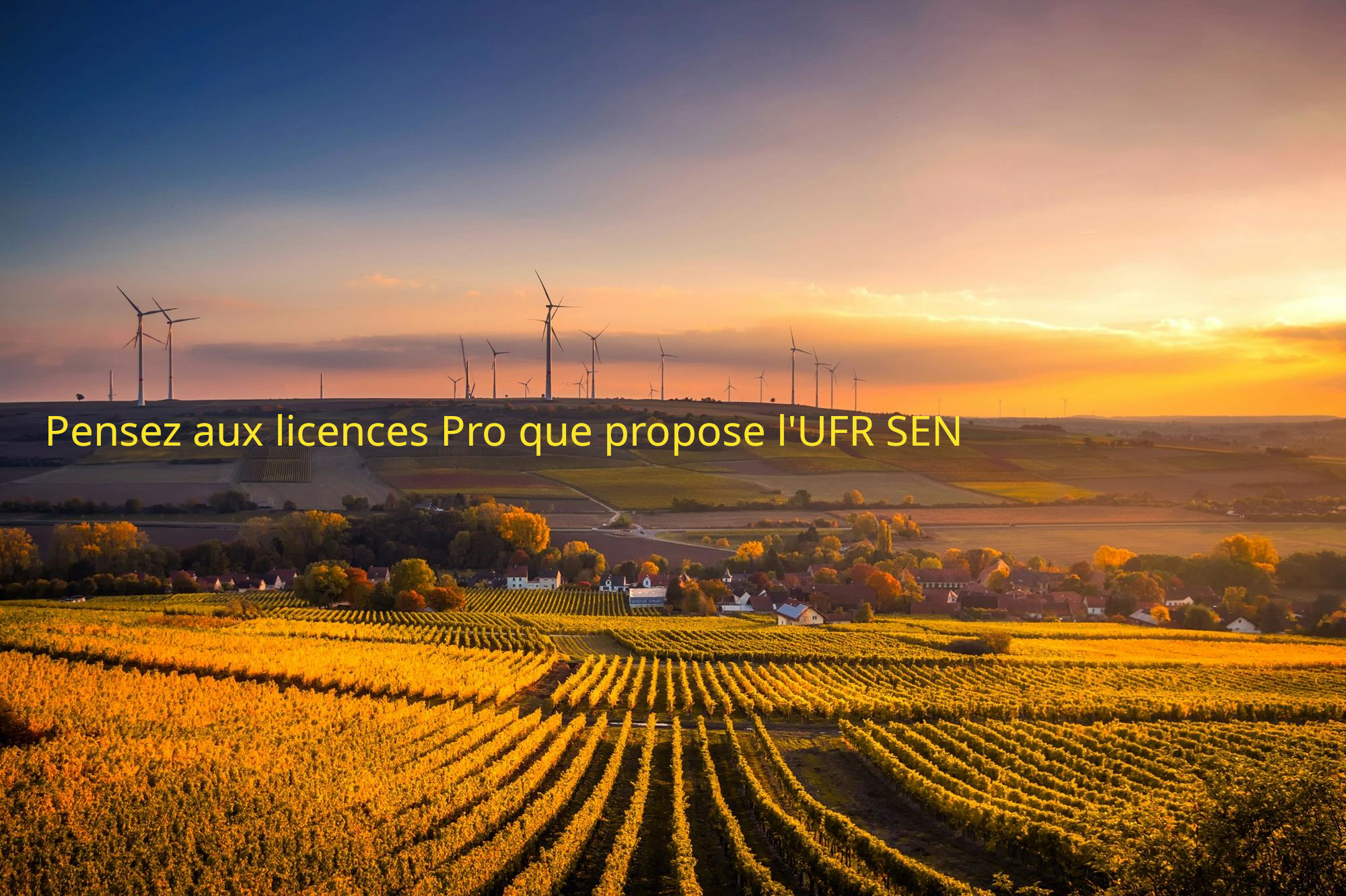 Retrouvez toutes nos licences pro ici (3Mo PNG)
