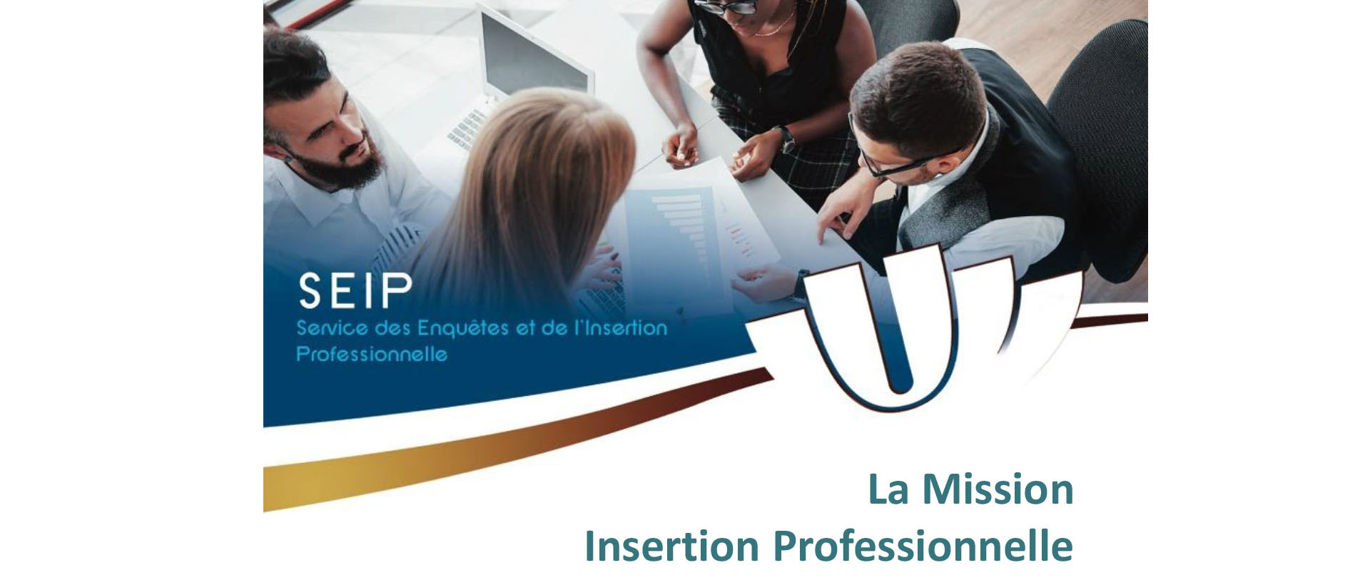 Tout savoir sur l'insertion professionnelle